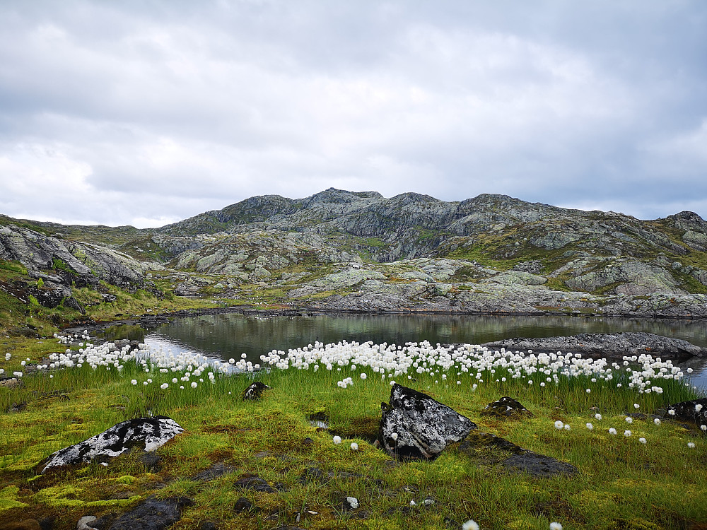 Fra Bustenakkjen mot Svartegga