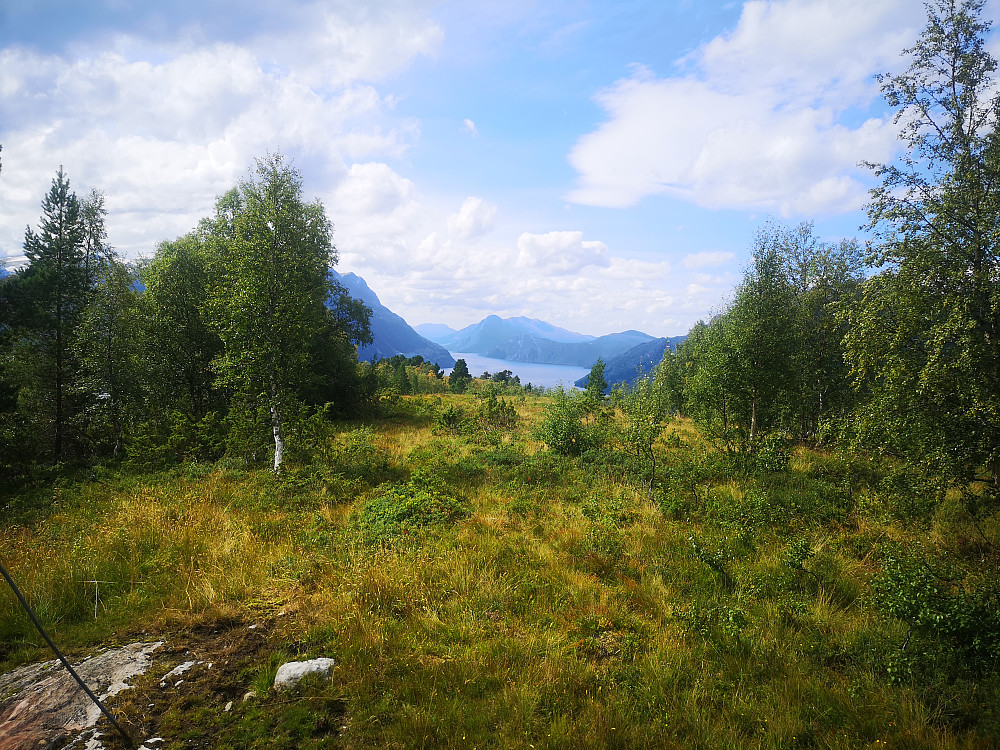 Mistelhaugen