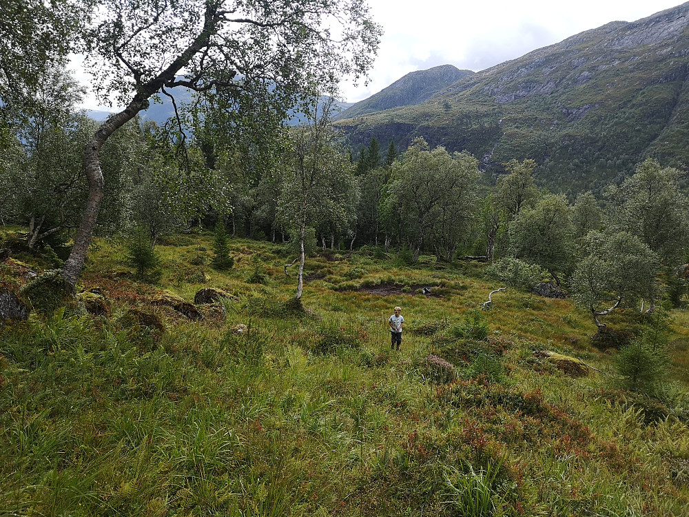 Starten etter skogsveien fra Laurdalen