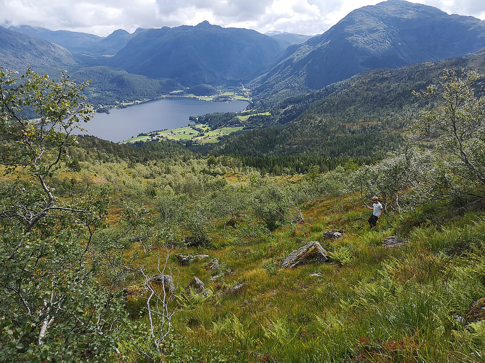Mot Bjørkedalsvatnet