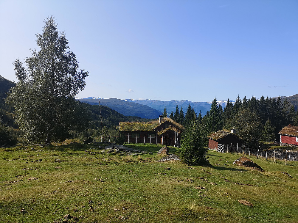 Randastøylen