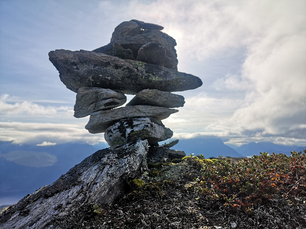 Austlige Lotsbergnibba 