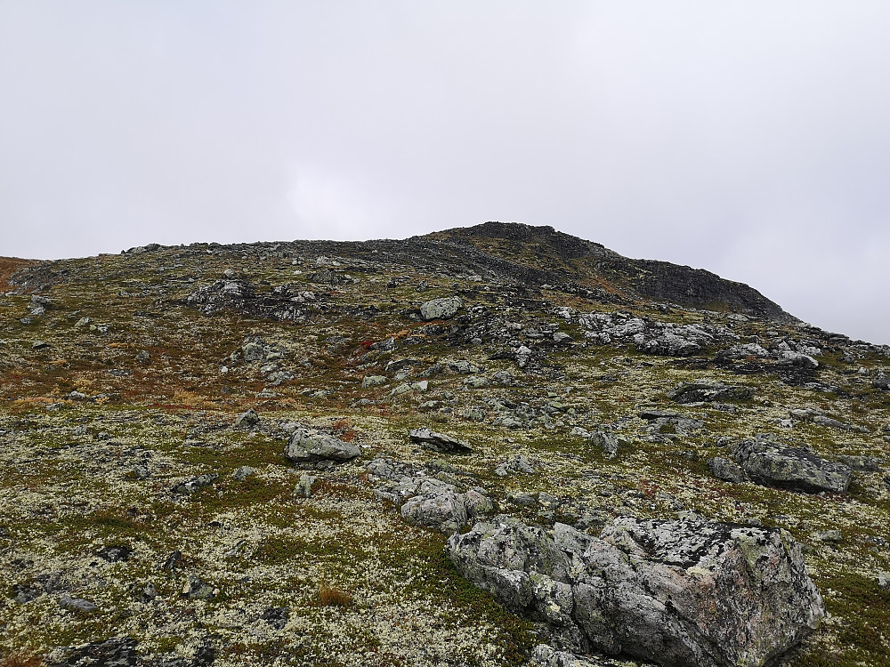 Siste lettgåtte del mot toppen av Horgahorna