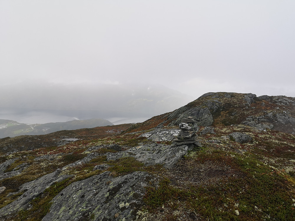 Austlege Lotsbergnibba