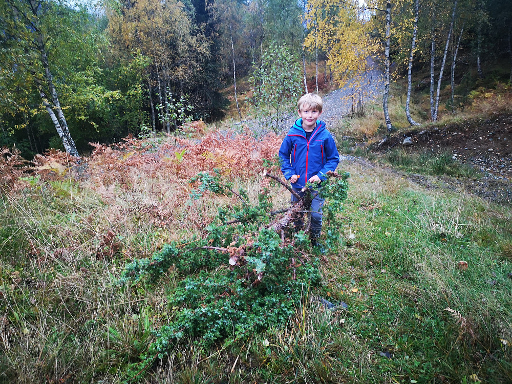 Sanking av einekrokelementer på en liten kveldstur med Vinjar. De skal fungere som oppheng til stiger på lada