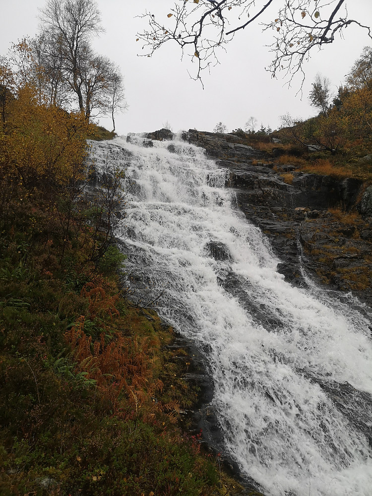 Stor elv i dsg