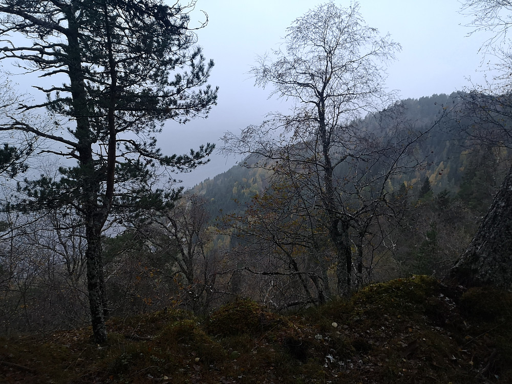 utsikt over Lotsberg