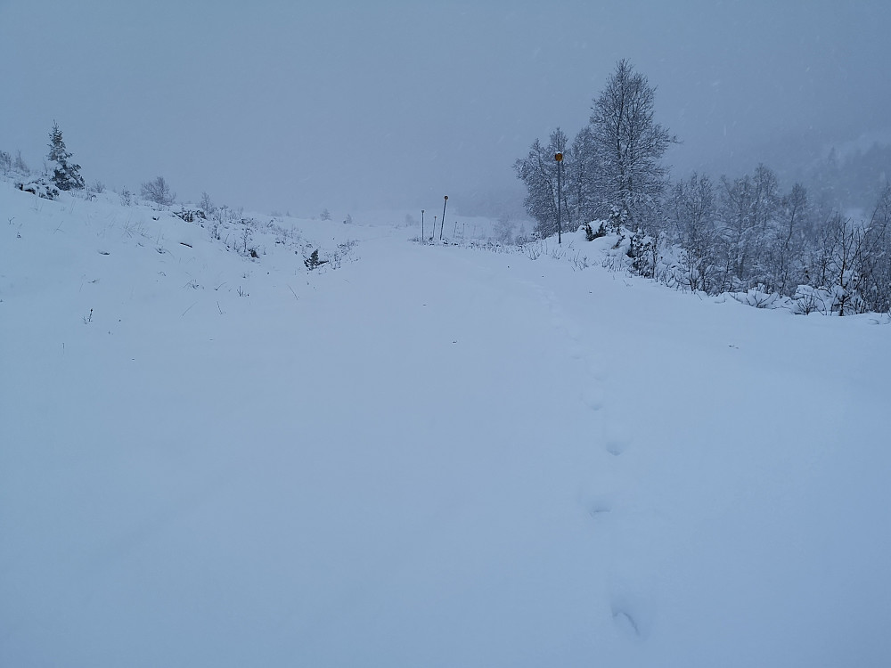 Herlig snø i høyden!