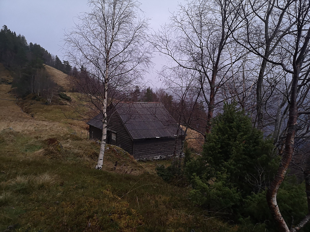 Øvre Åssne