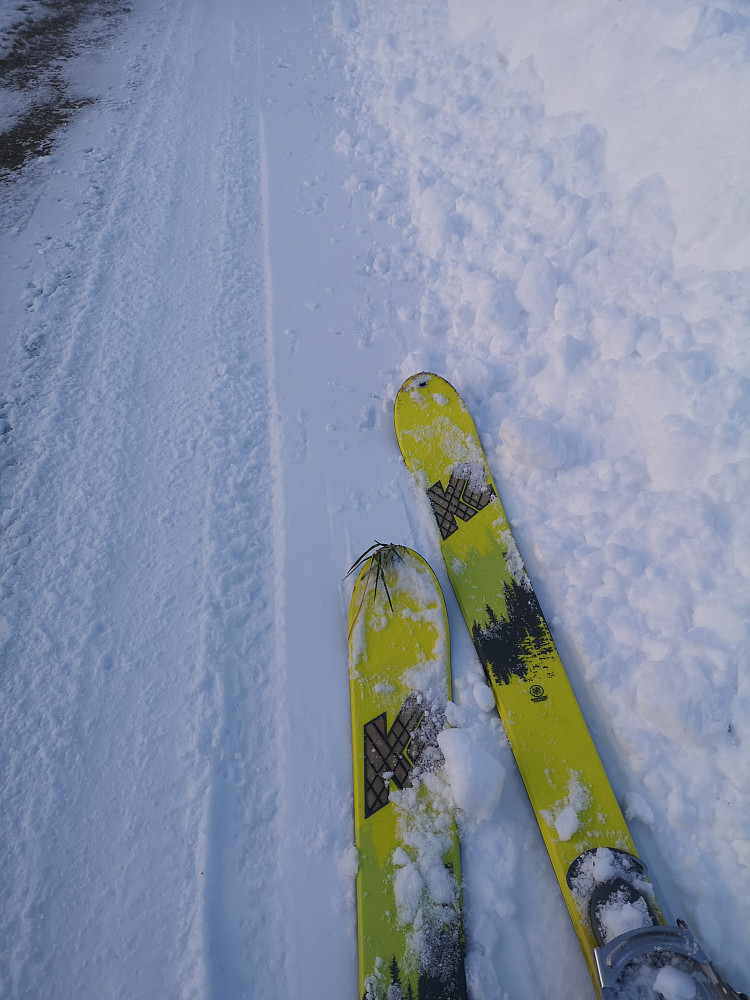 Litt grastuster på skituppene ved ankomst Lotsberg :-) 