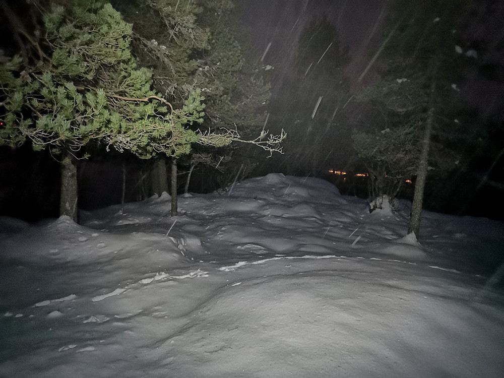 Ljøskarhaugen 