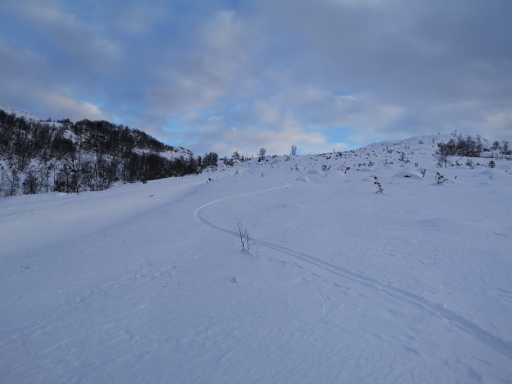 Litt svinger i flott snø i nedre del 