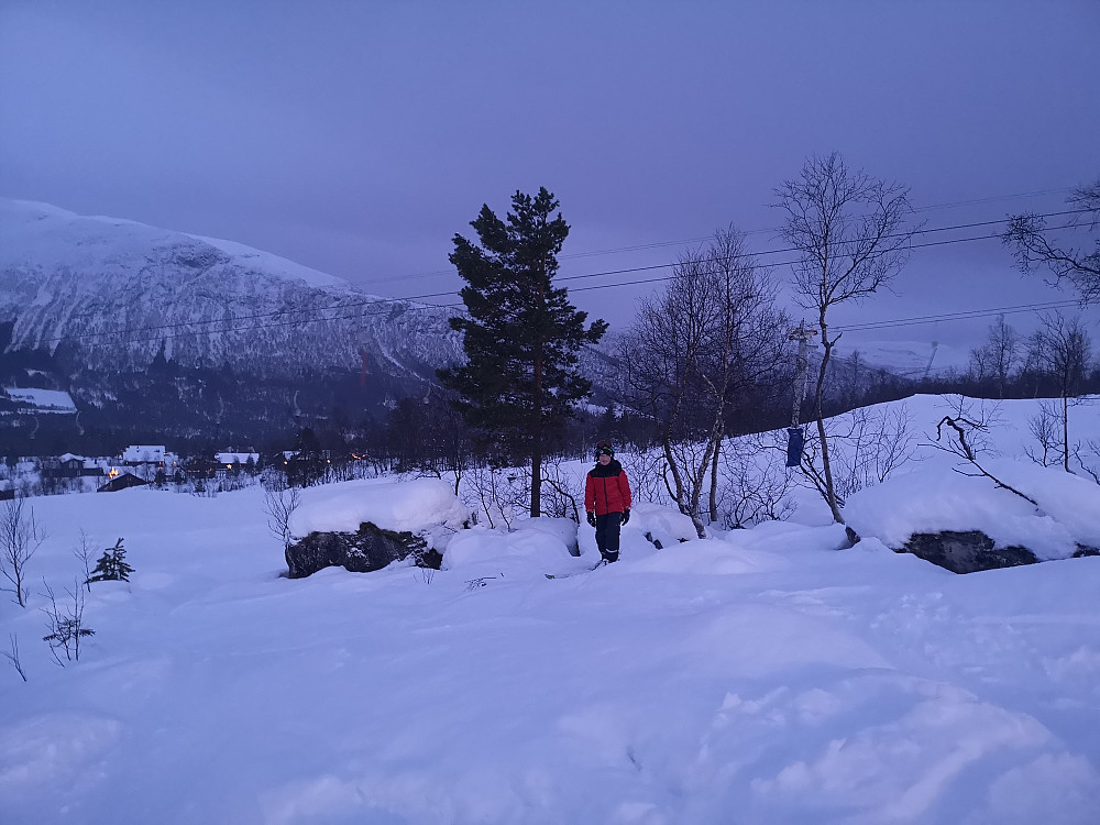 Vinjar i trekket