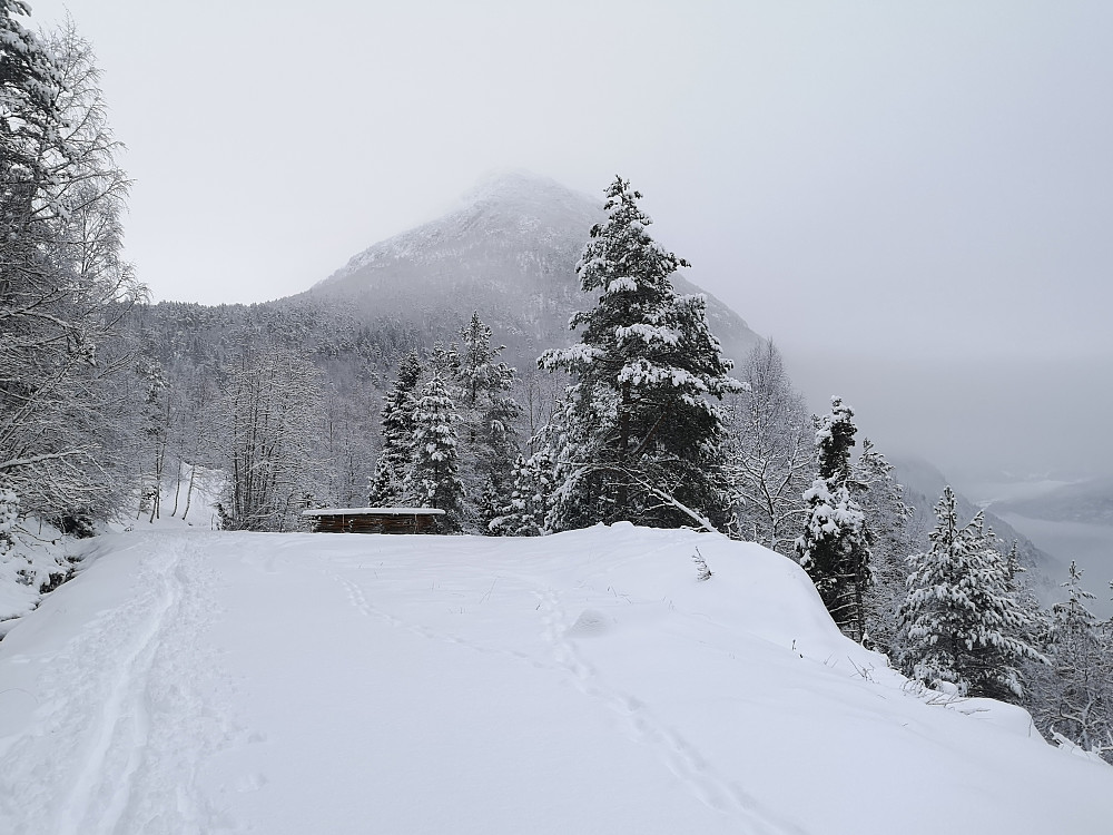Lotsbergnibba fra Bøhogane 