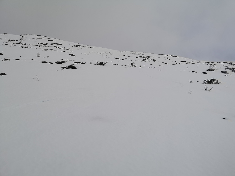 Ikke lett å se, men rimelig grei slush å svinge Telemark nedover med fjellskia 