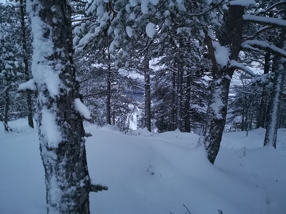 Ljøskarhaugen 