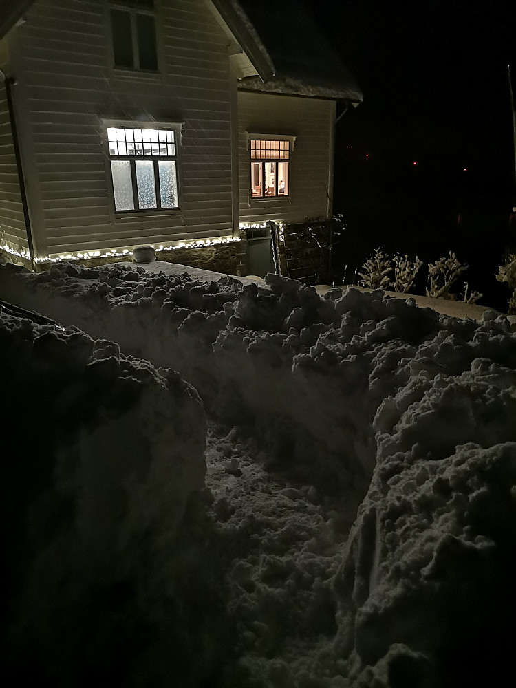 Mange måkeøkter i dag! 