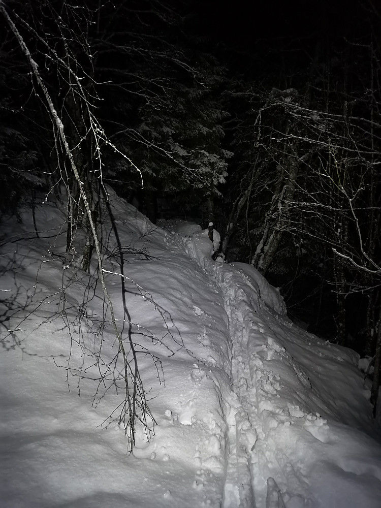 Stiploging i våt og tung snø