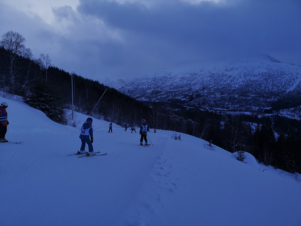 Samkjøring på skiskulen 