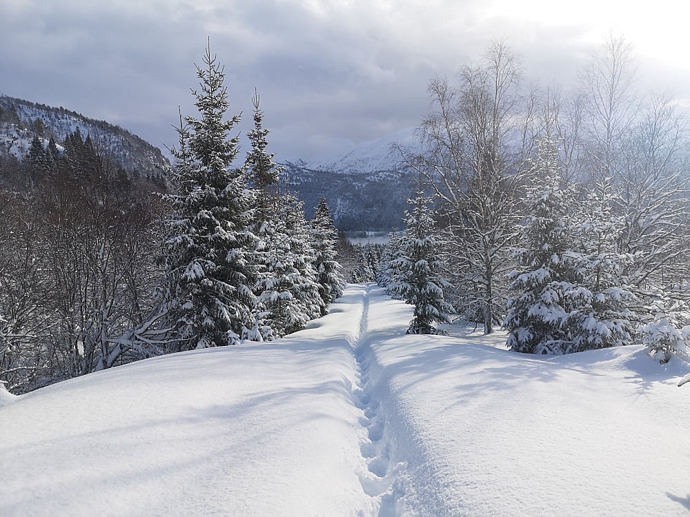 Etter noen tette snøbyger ved start, ble det ganske så fint underveis før nye byger kom rullende 