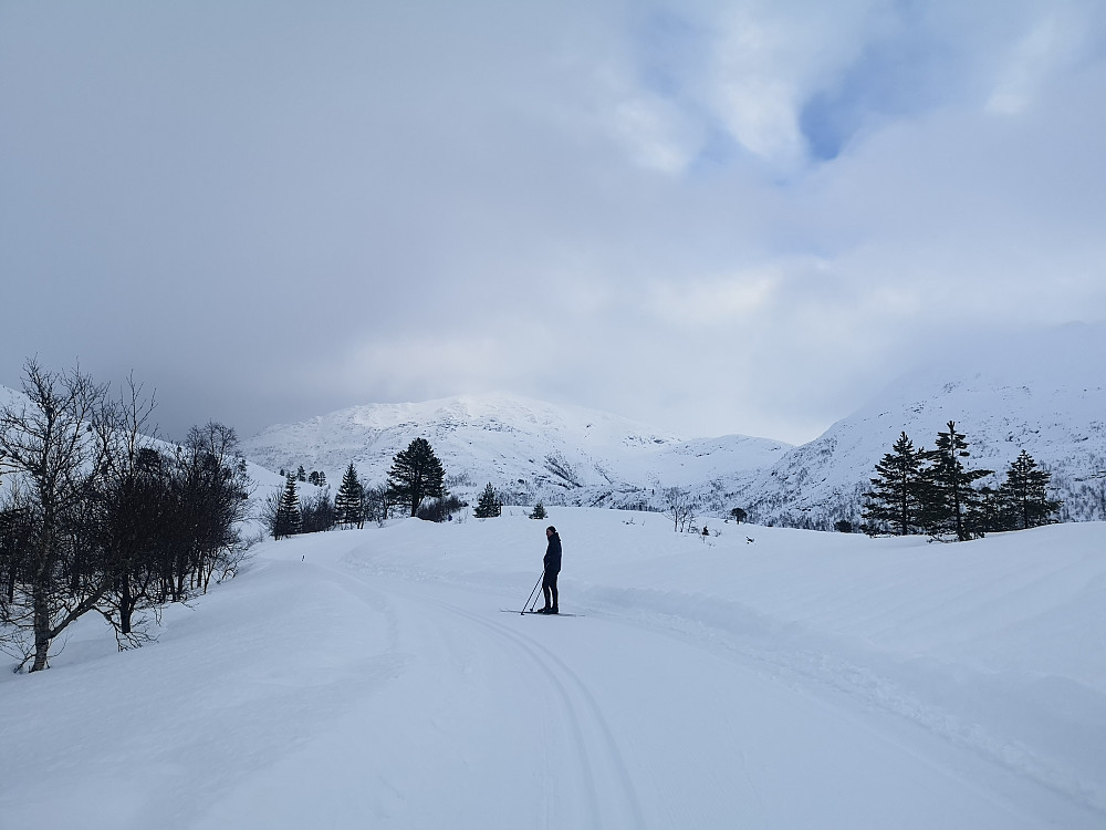 En tilfeldig skigåer som villig lot seg avbilde ved Brekka da det plutselig var et lite lette i bygene