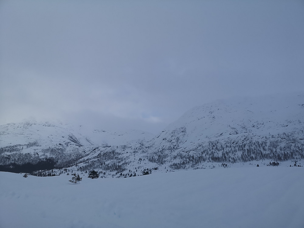 Fra Brekka mot Løsethornet 
