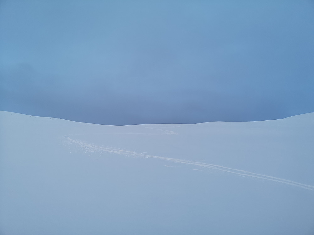 Overraskende fin styresnø