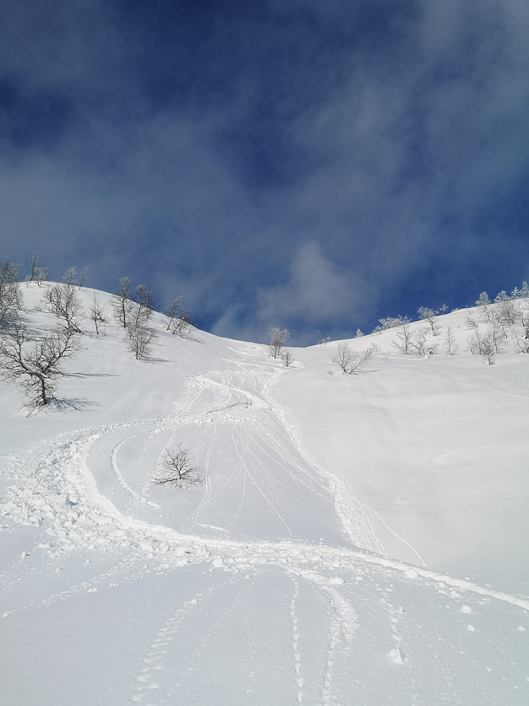 Sola varmer godt i snøen