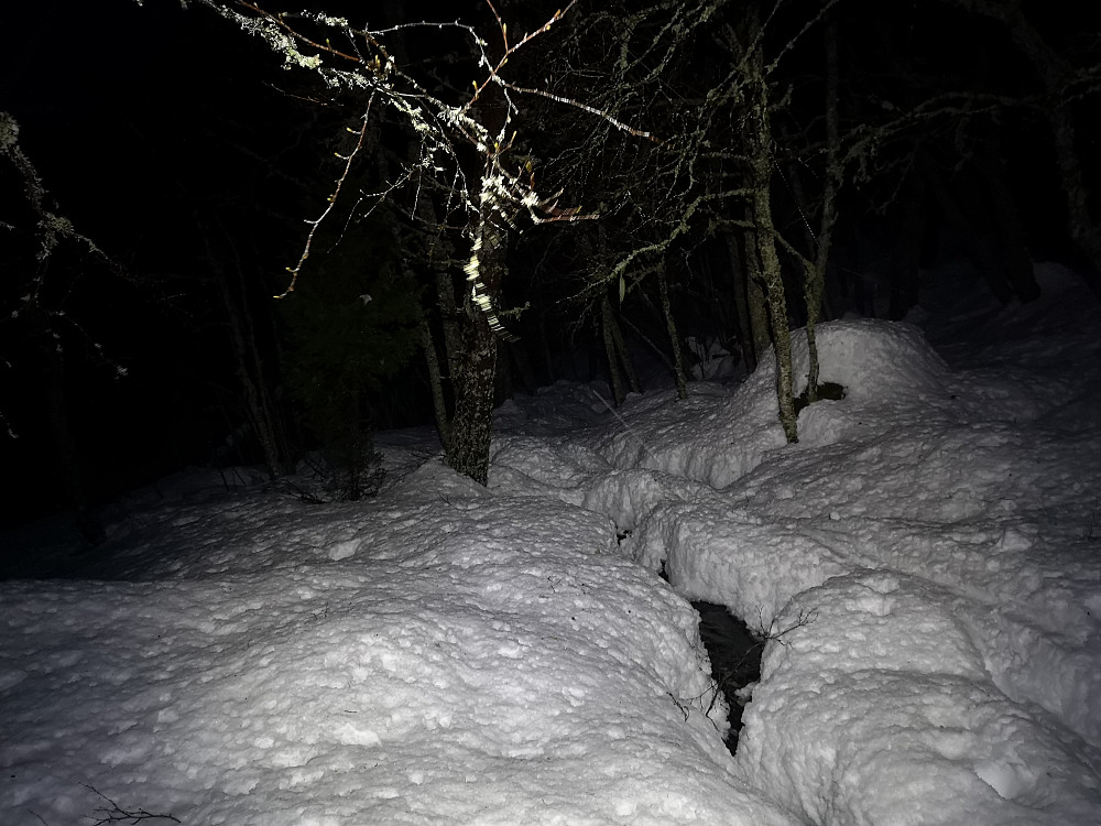Våt snø i skogen ned fra Støylen 