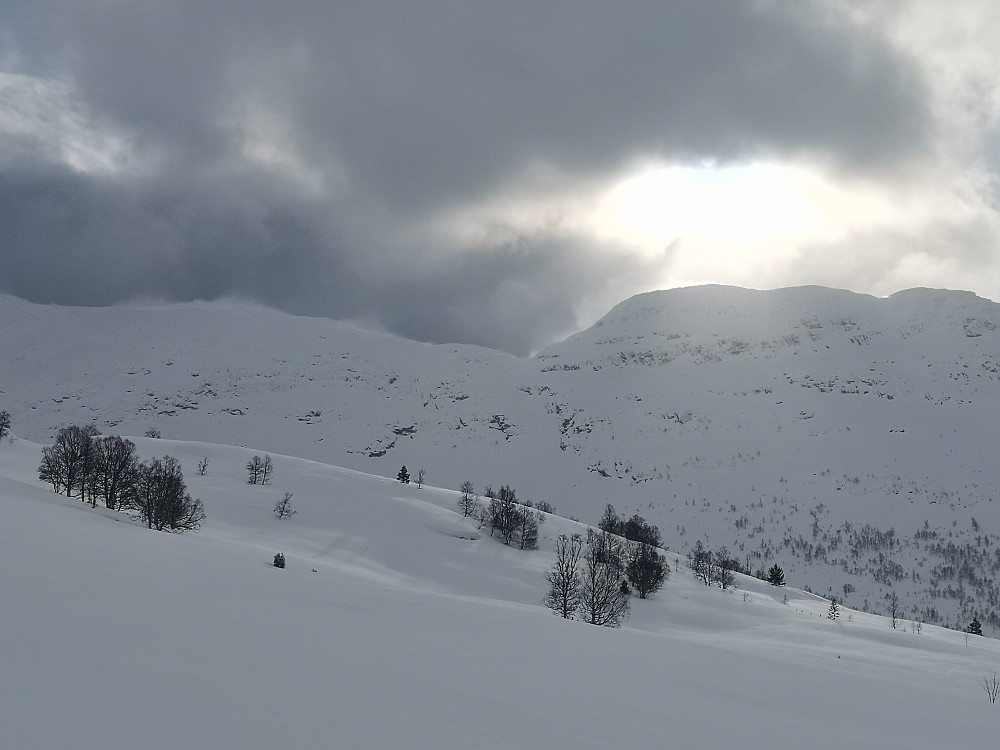 Føyker godt oppe på Lotsbergnibba og ryggen mot Svartegga