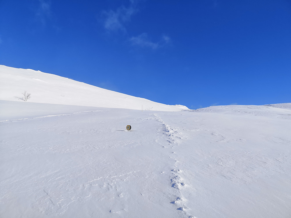 Merkestikkene opp mot Sagetindane ligger godt nedi snøen mange plasser