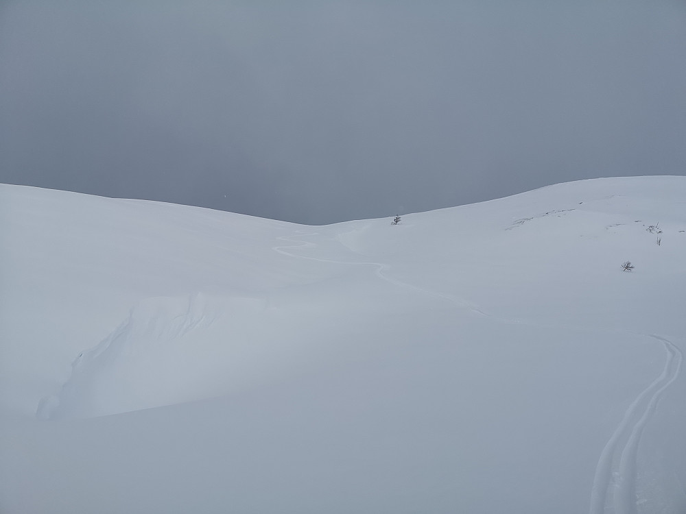 FLotte forhold i terrenget som er helt utjamna av all snøen