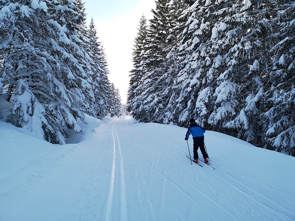 Innover Fladalen i kjempefine forhold selv om det ikke var nypreparet. Mye folk å møte underveis i dag også, og det er ikke så rart :-)
