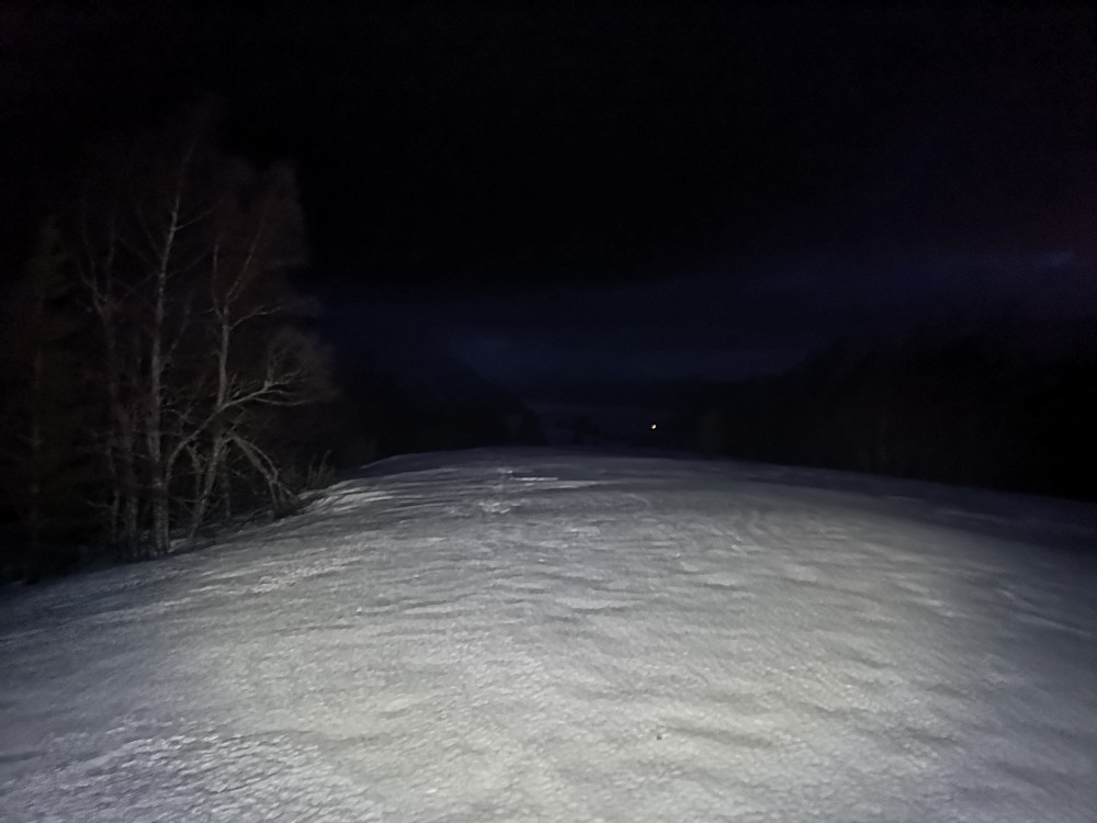 Mistelhaugen 