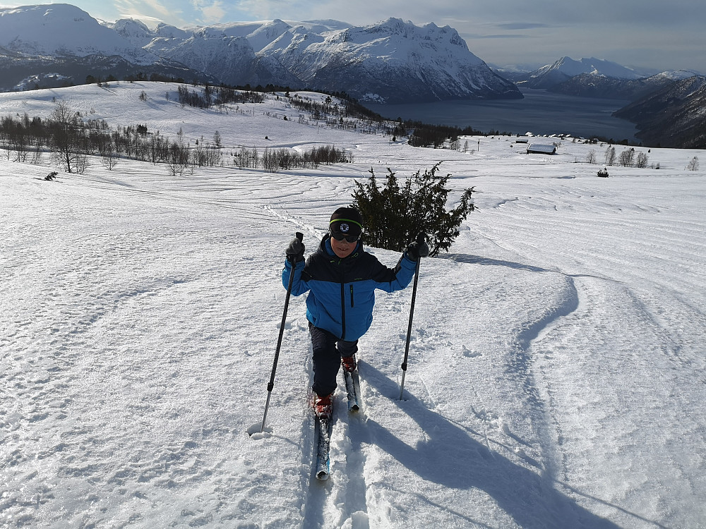 opp fra Lotsstøylen 