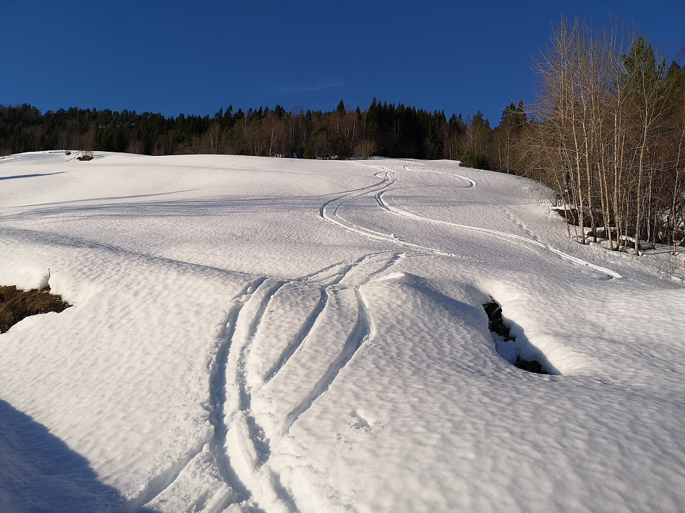 Bonusrunde 