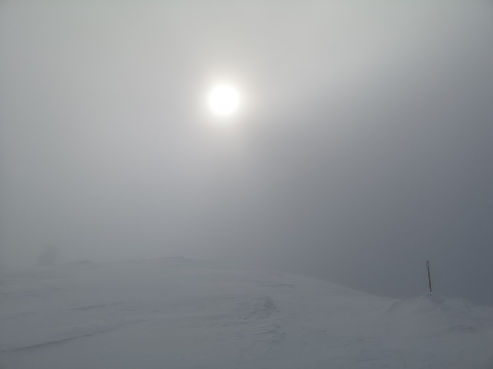 Plutselig ser vi sola
