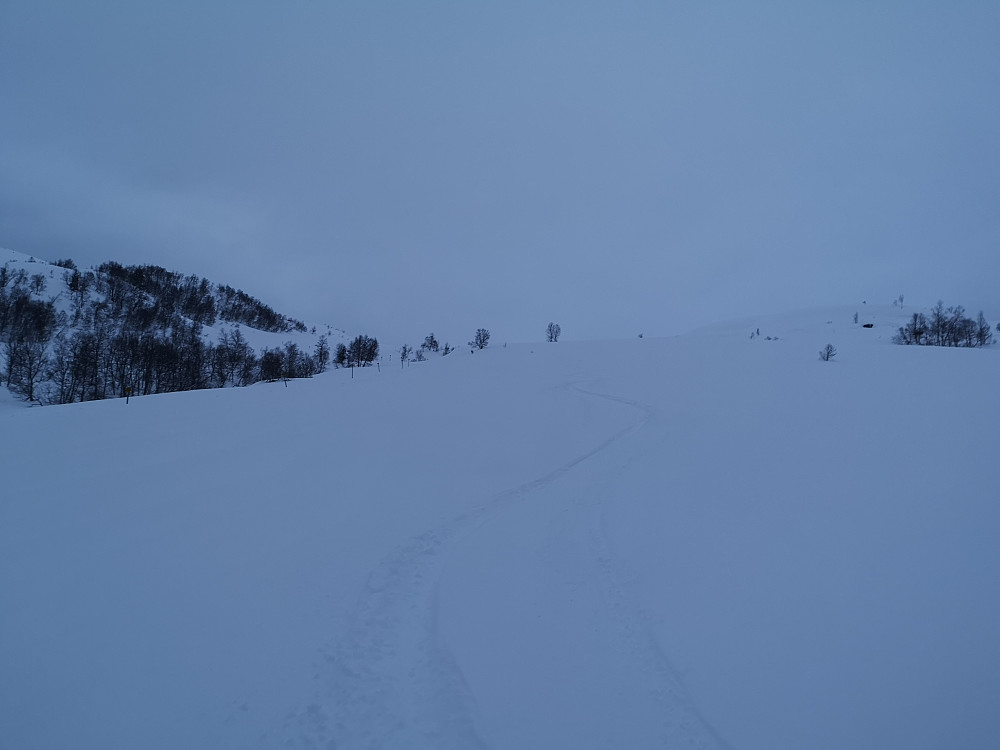 Ove sine svinger fra tidligere på dsgen