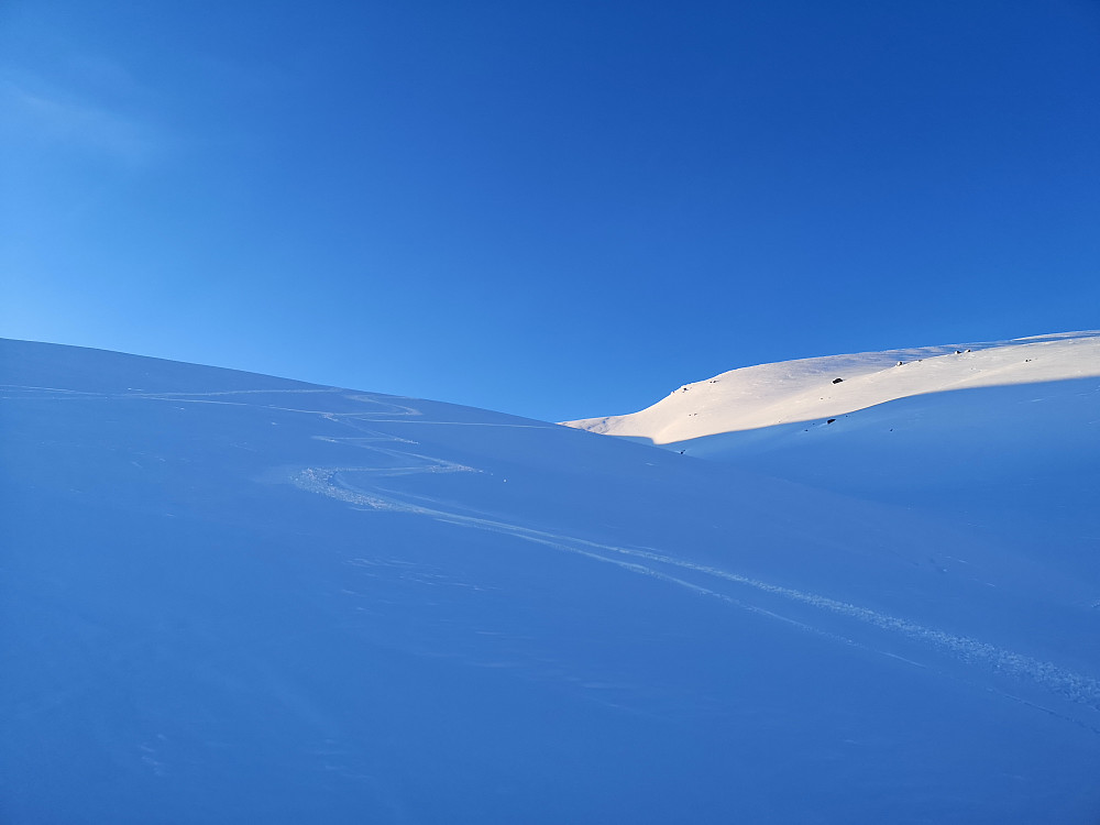 Steinegga og herlig nedkjøring i upåvirket tørr snø i første delen