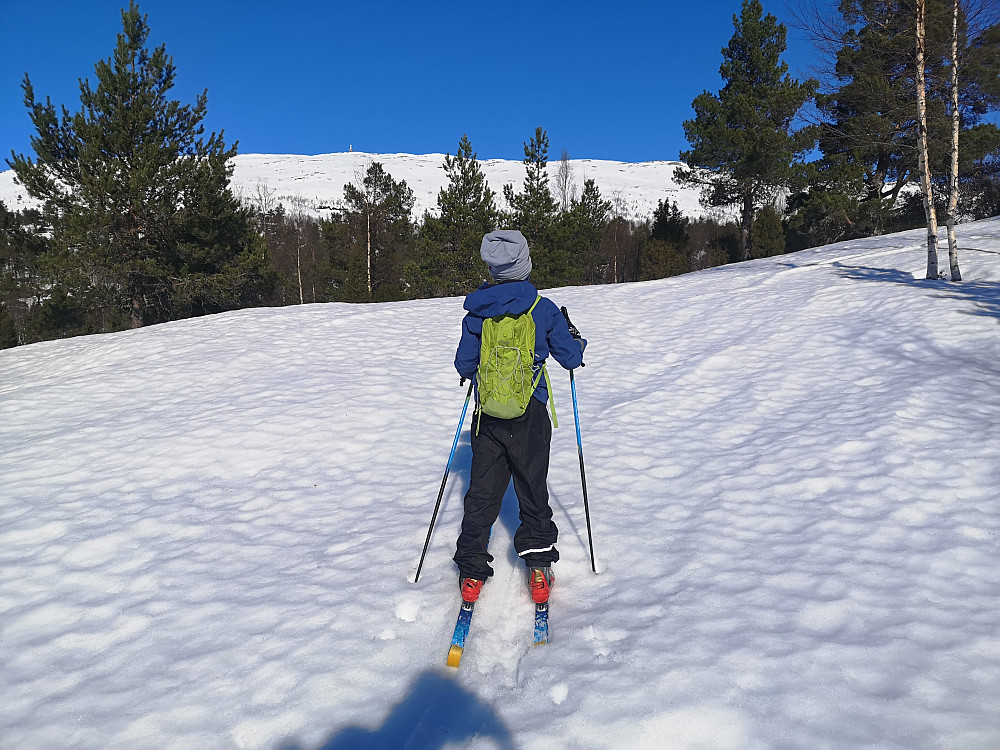 VI har endelig kommet oss opp til Lotsbergstøylen etter forsering av råtten snø gjennom skogen
