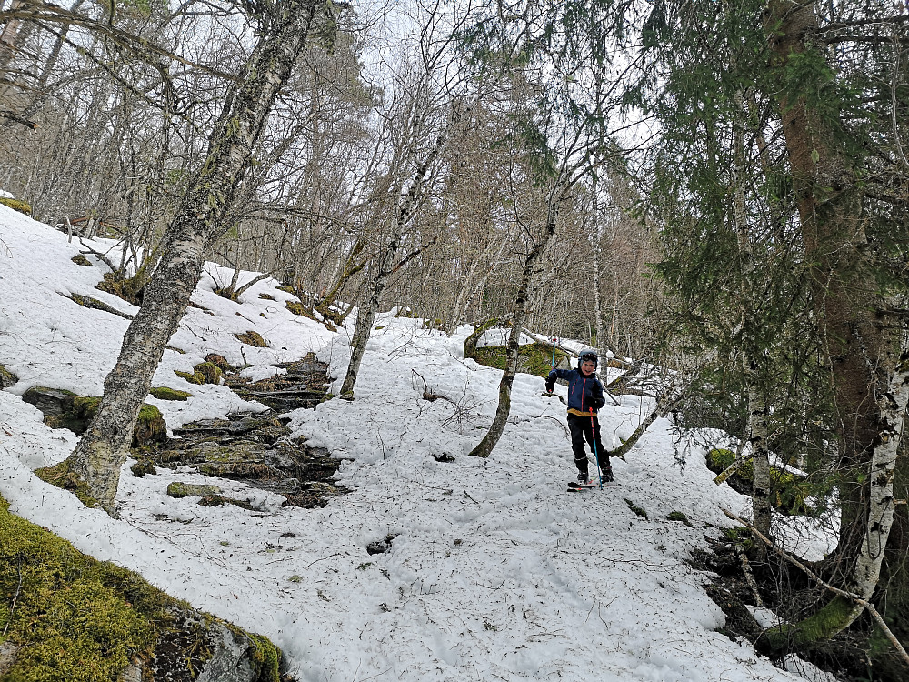 Trasseen fra Lotsbergstøylen og nedover. Vi var enige om at dette er for spesielt interesserte. Mye latter og moro på vei nedover