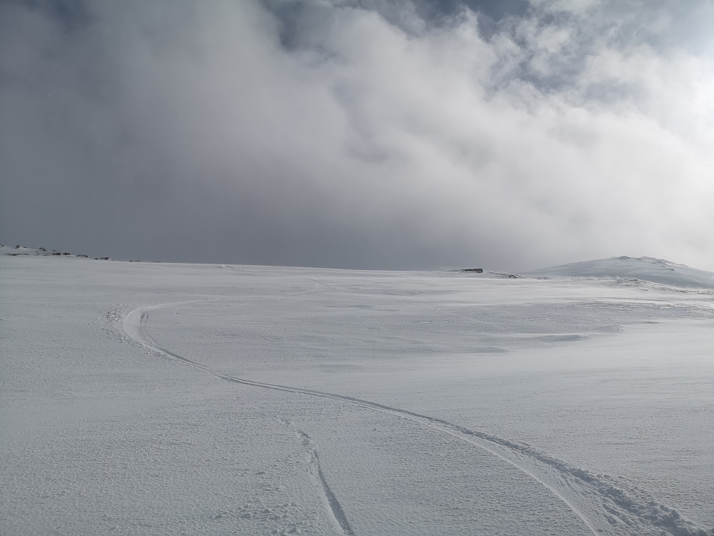 Fint fjellskiføre