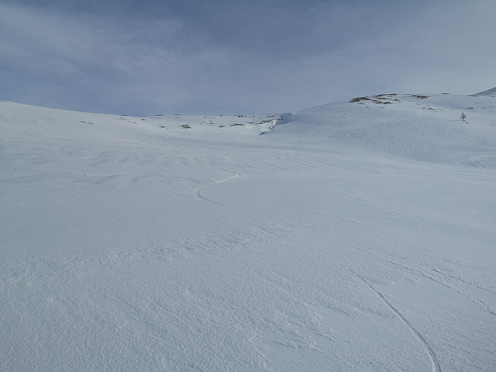 Fin styresnø ned Kvitelvebakkane