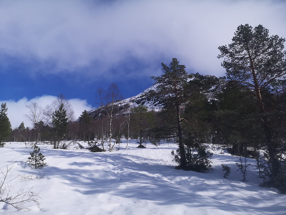 Fint akkurat da jeg ankom støylen