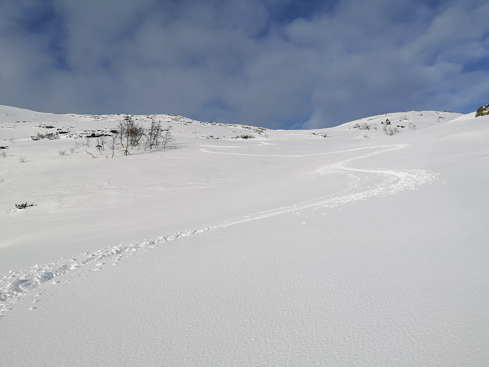 Nydelig snø