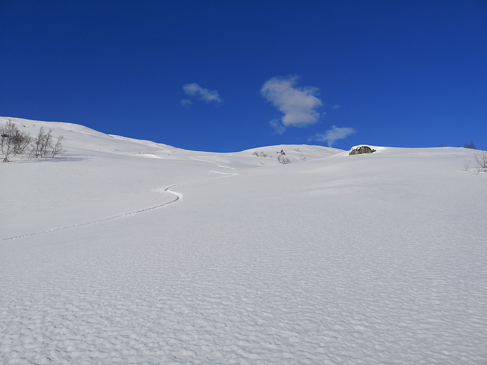Herrrrlig snø 