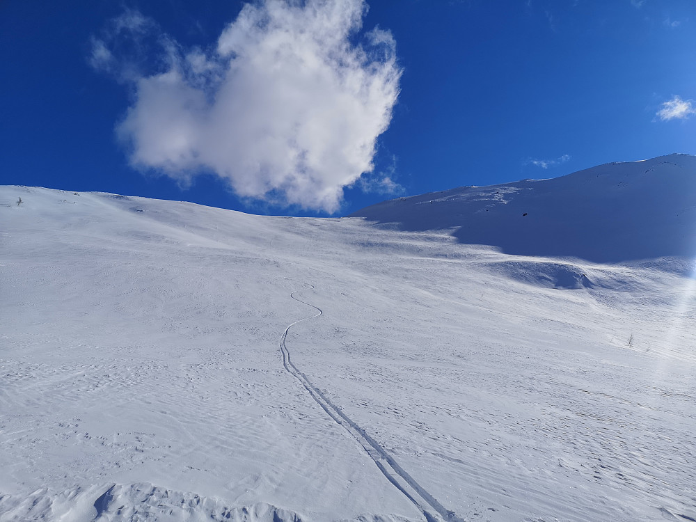 Herlige Telemarksvinger ned Kvitelvebakkane 