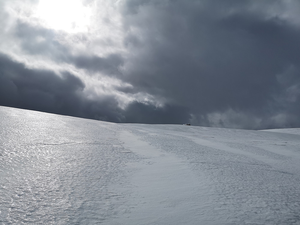Blankskurt føre mot toppen av Skålebotnsfjellet