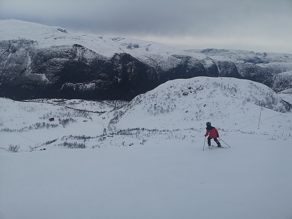 Vinjar i farta