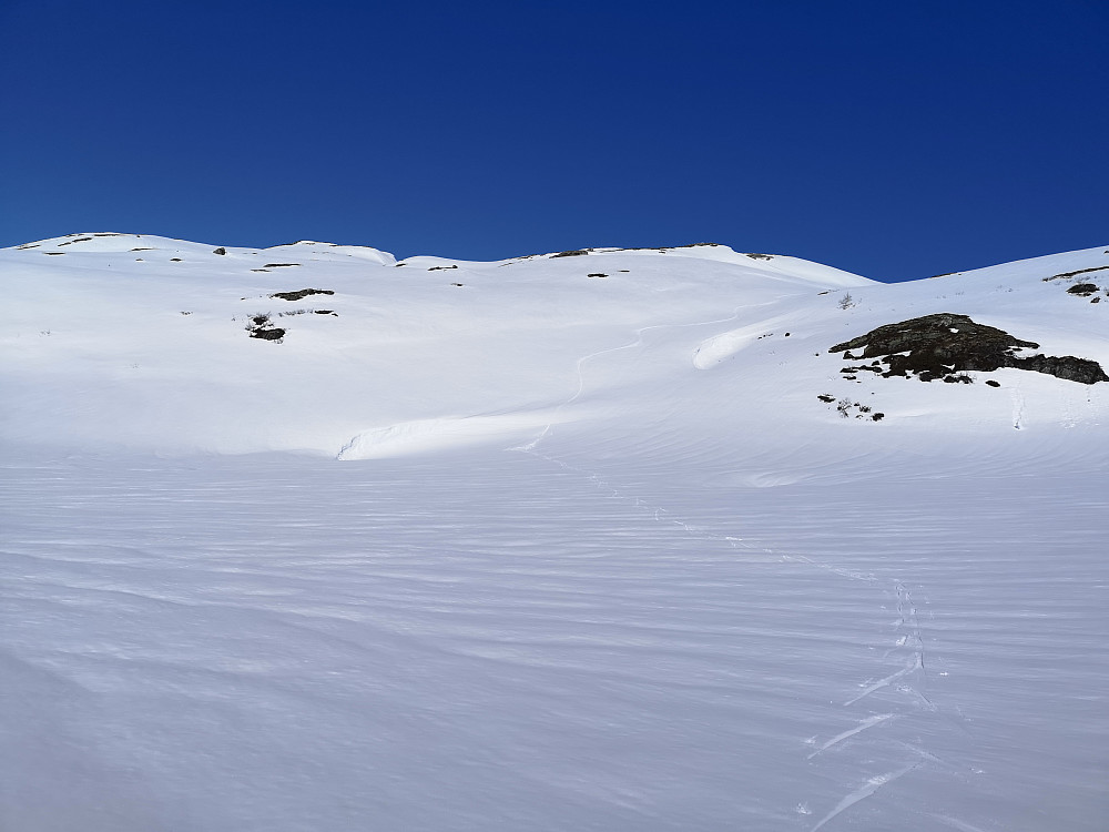 Utrolig flott nedkjøring mot Kinna, helt til jeg hoppet over en kul og landet litt for langt frampå og tryna så det sang etter i våt, kornete snø!!!